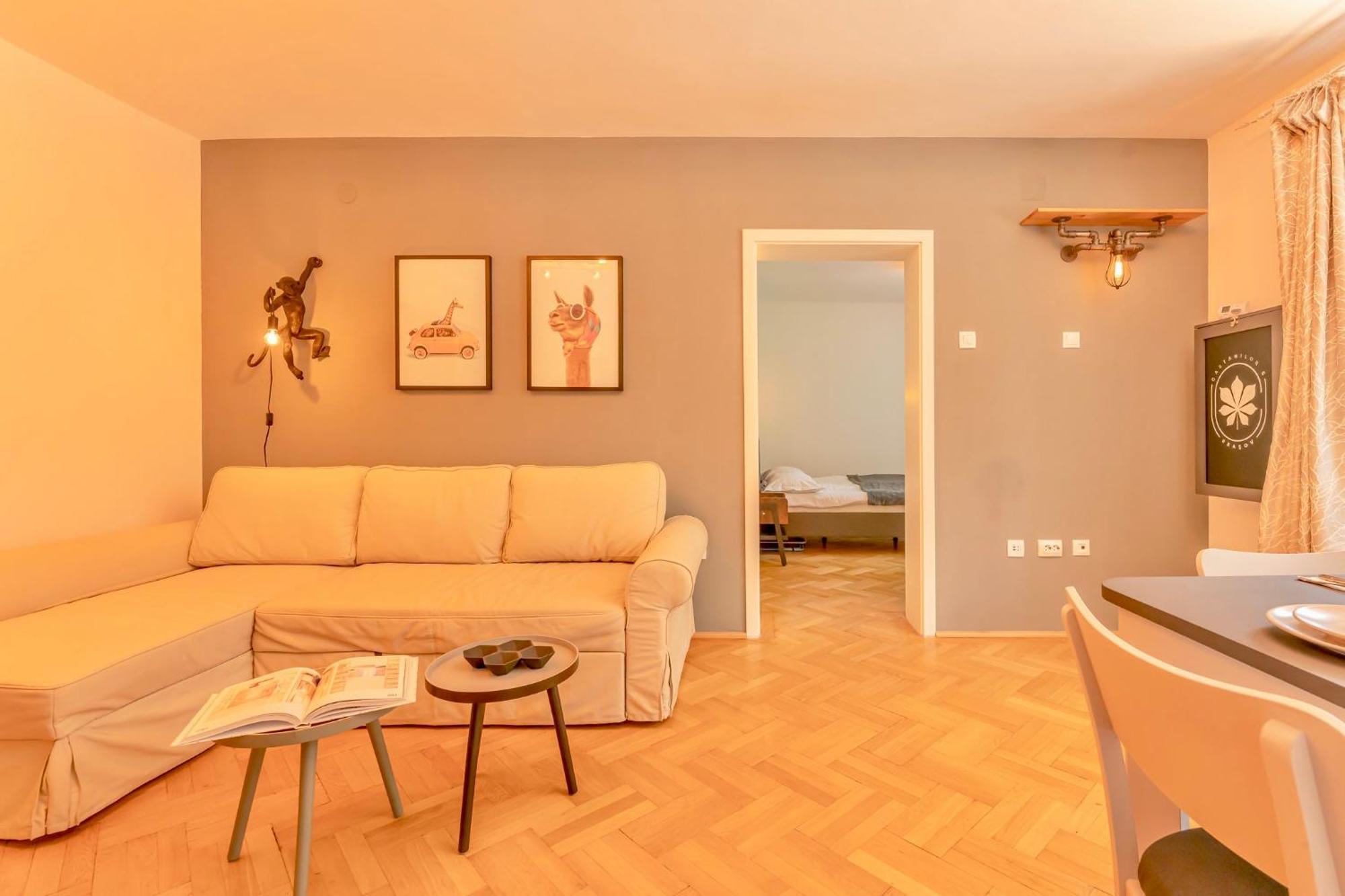 Castanilor 6 - Hip Industrial Apartment Close To City Centre Brašov Exteriér fotografie